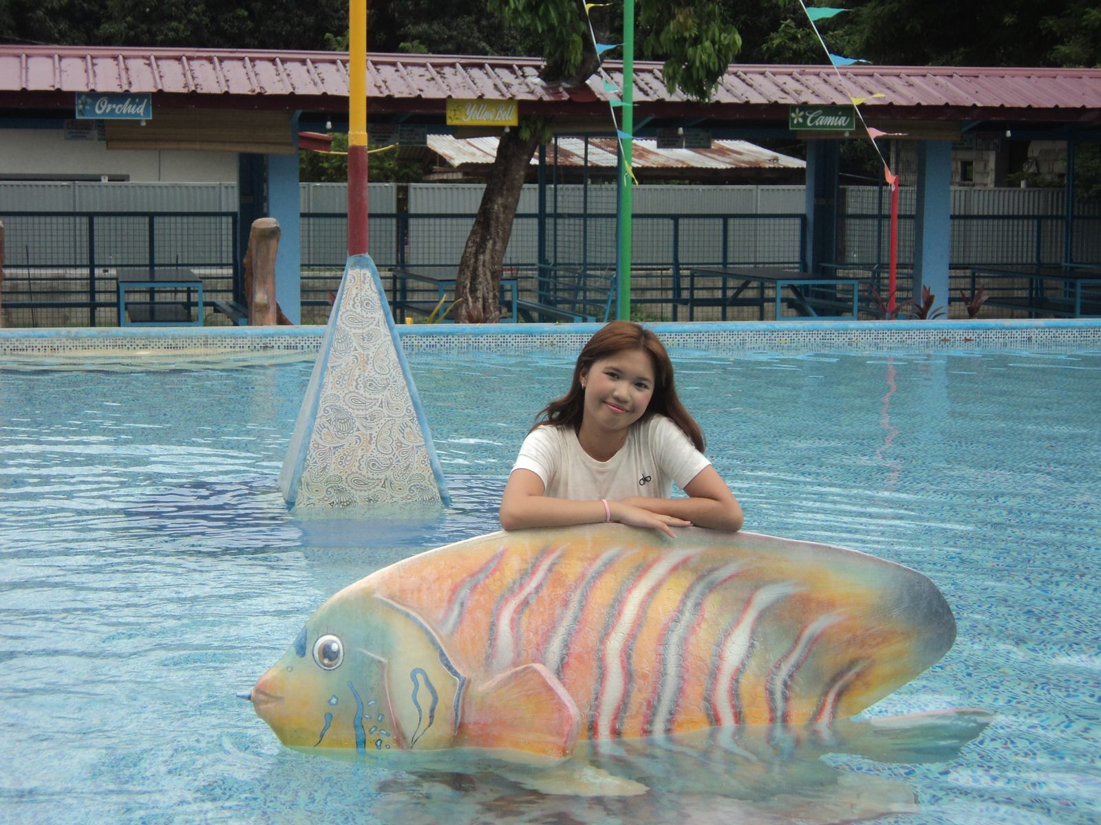 Photo-spot: giant fish statue
