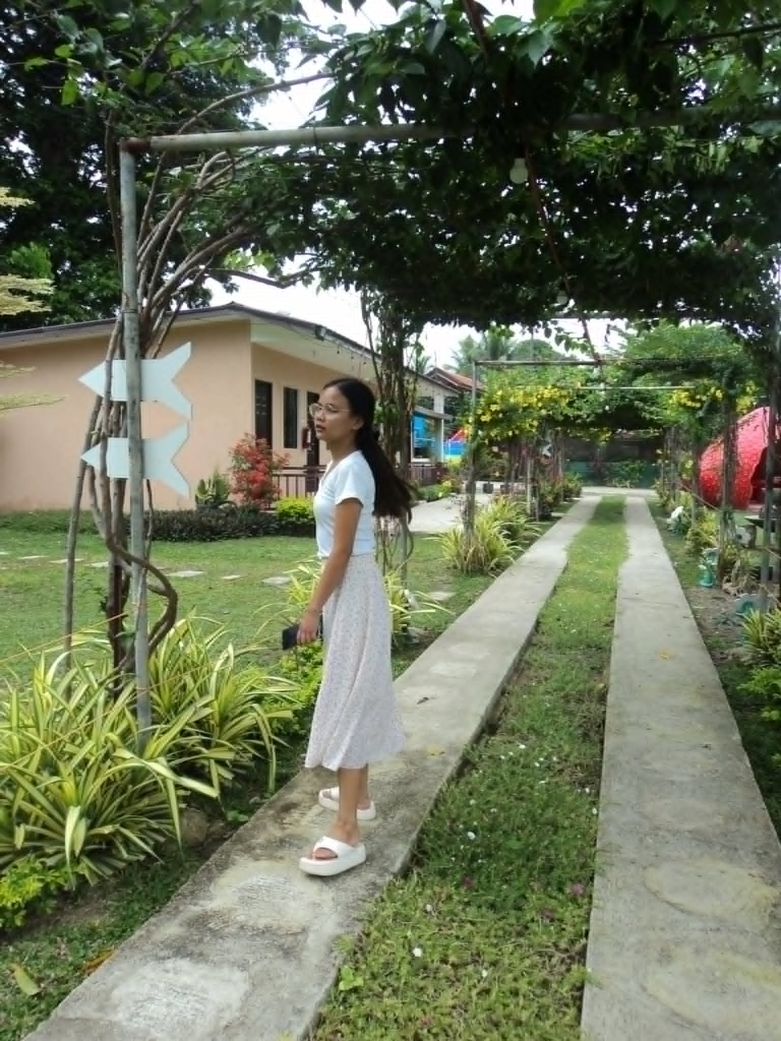 Pergola-covered garden pathway