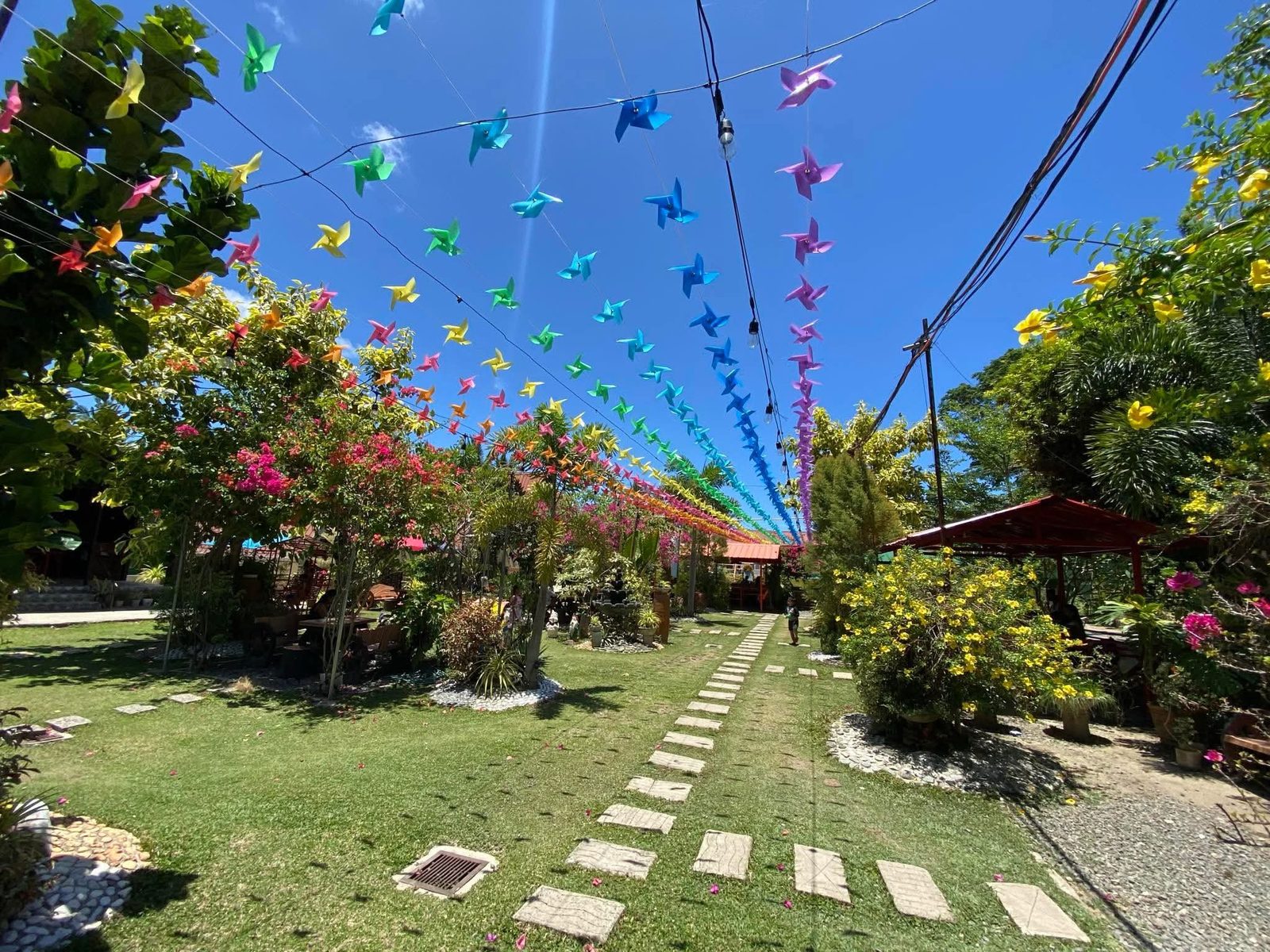 Colorful pinwheels along the path
